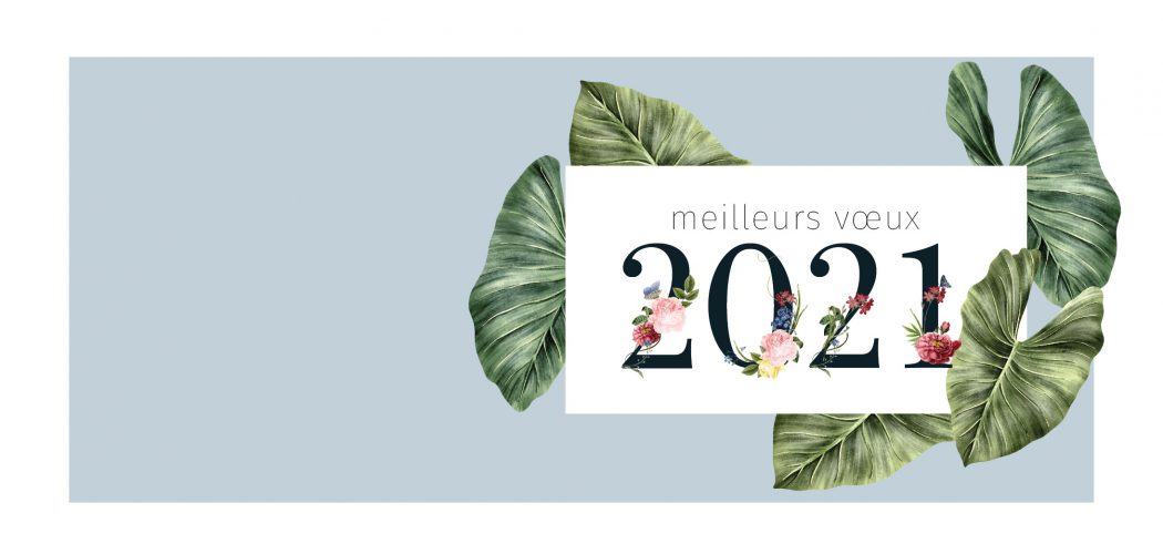 Meilleurs vœux 2021