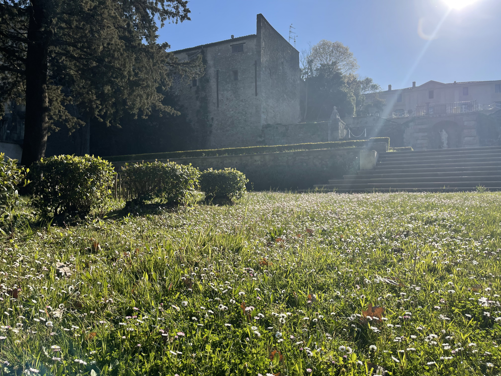 Les fleurs du jardin classé du domaine de Bocaud 1