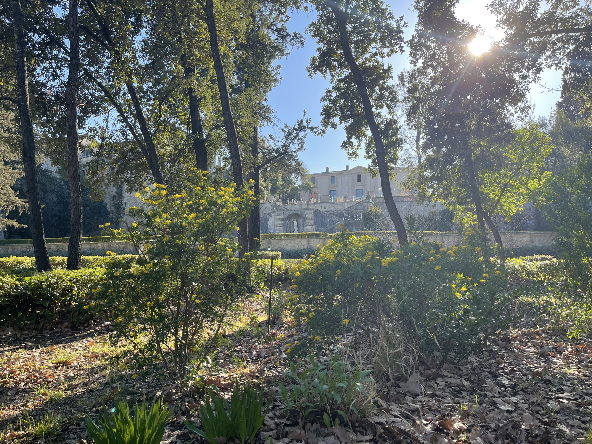 Les fleurs du jardin classé du domaine de Bocaud 2