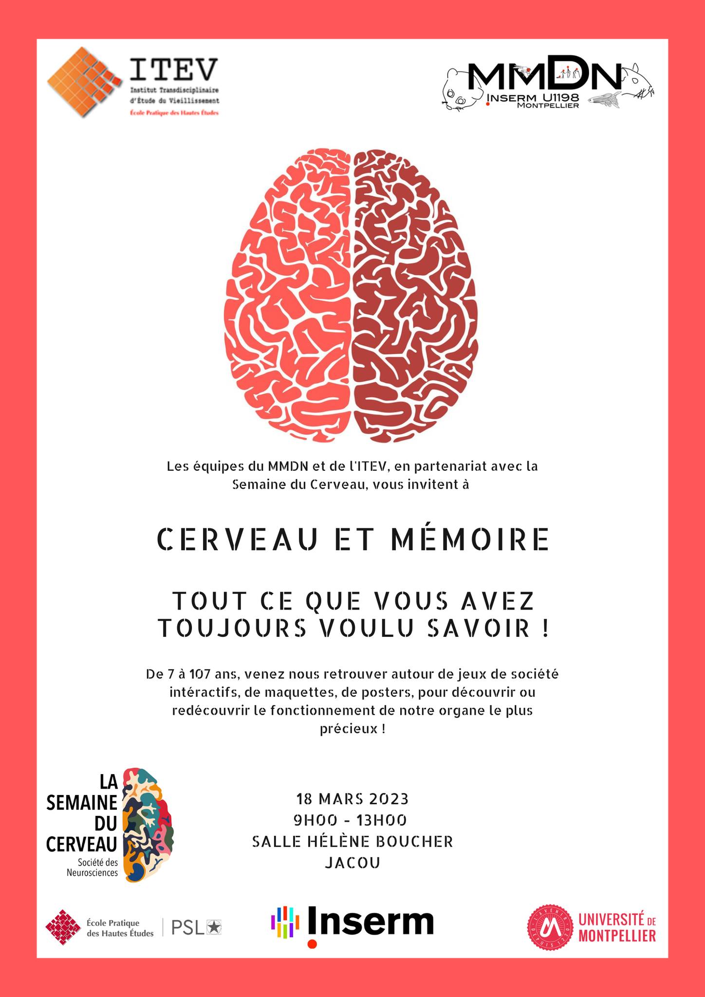 Cerveau et Mémoire : tout ce que vous avez toujours voulu savoir