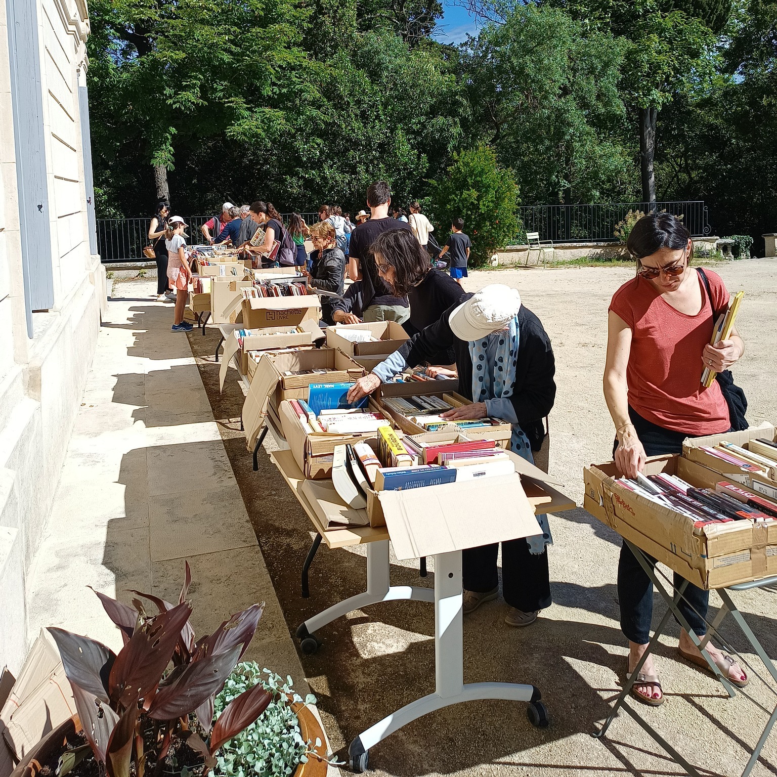 Braderie de la médiathèque au profit du CEJ