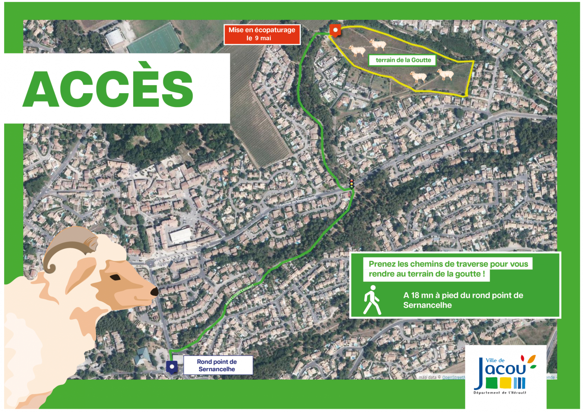Ecopâturage : venez rencontrer les agnelles sur le terrain de la Goutte ! 1