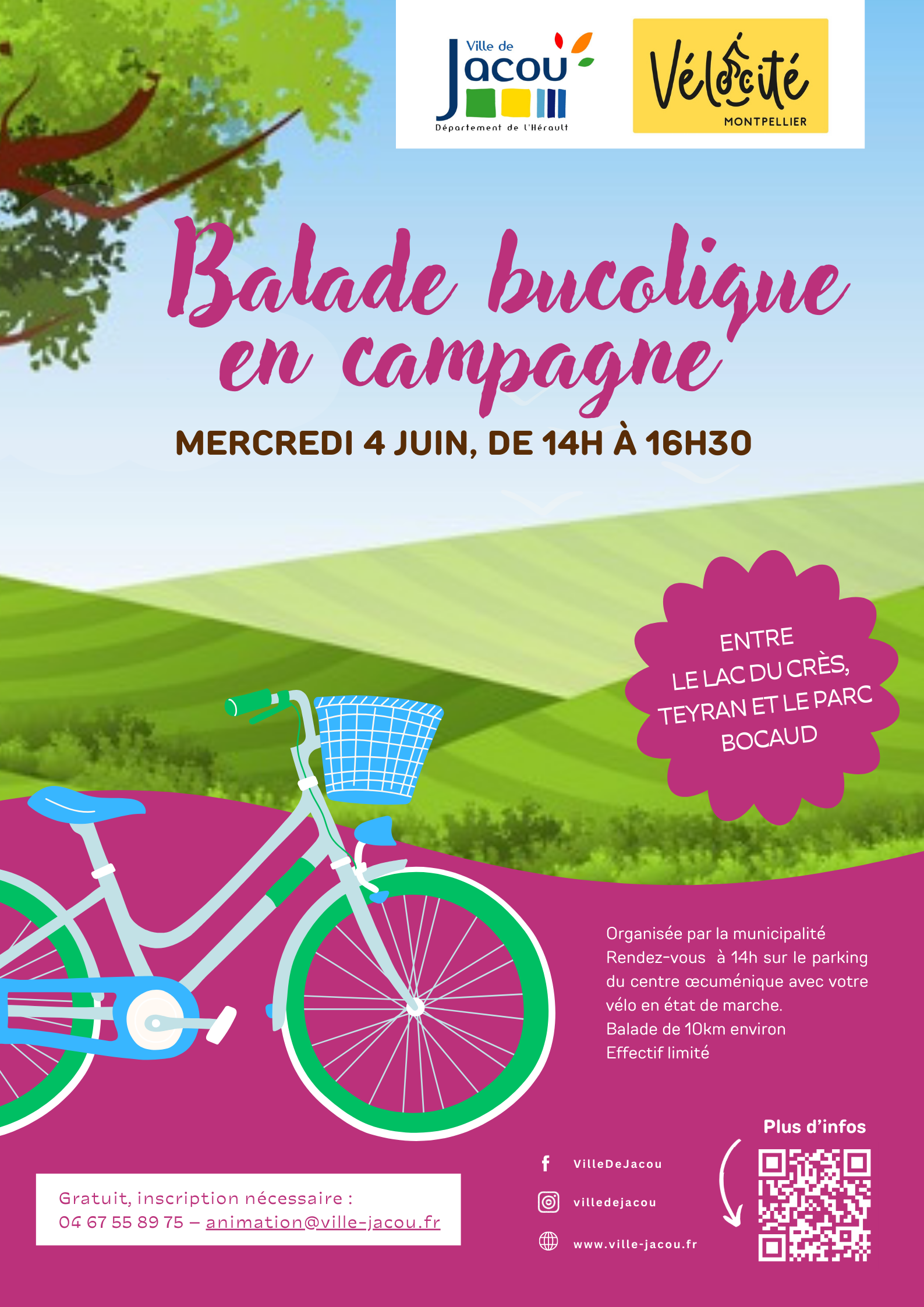 Balade bucolique à vélo