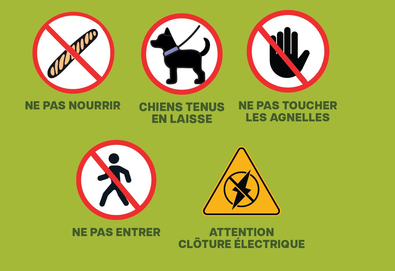 Ecopaturage 8