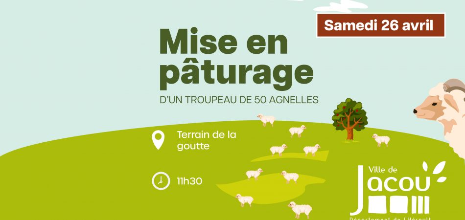 ECOPATURAGE 6