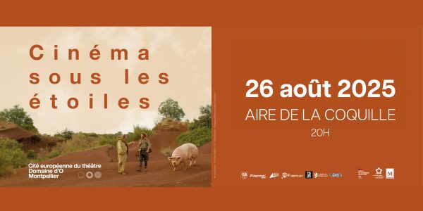 Cinéma sous les étoiles 6