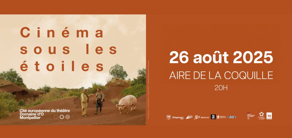 Cinéma sous les étoiles 6