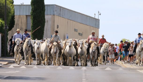 Festivités d'été 2025 4