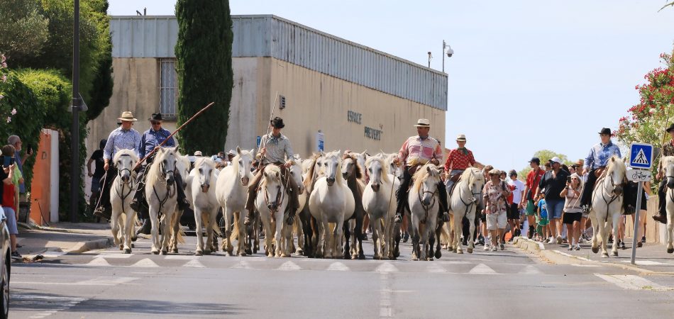 Festivités d'été 2025 4
