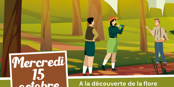 Balade nature : à la découverte de la flore de nos forêts ! 2