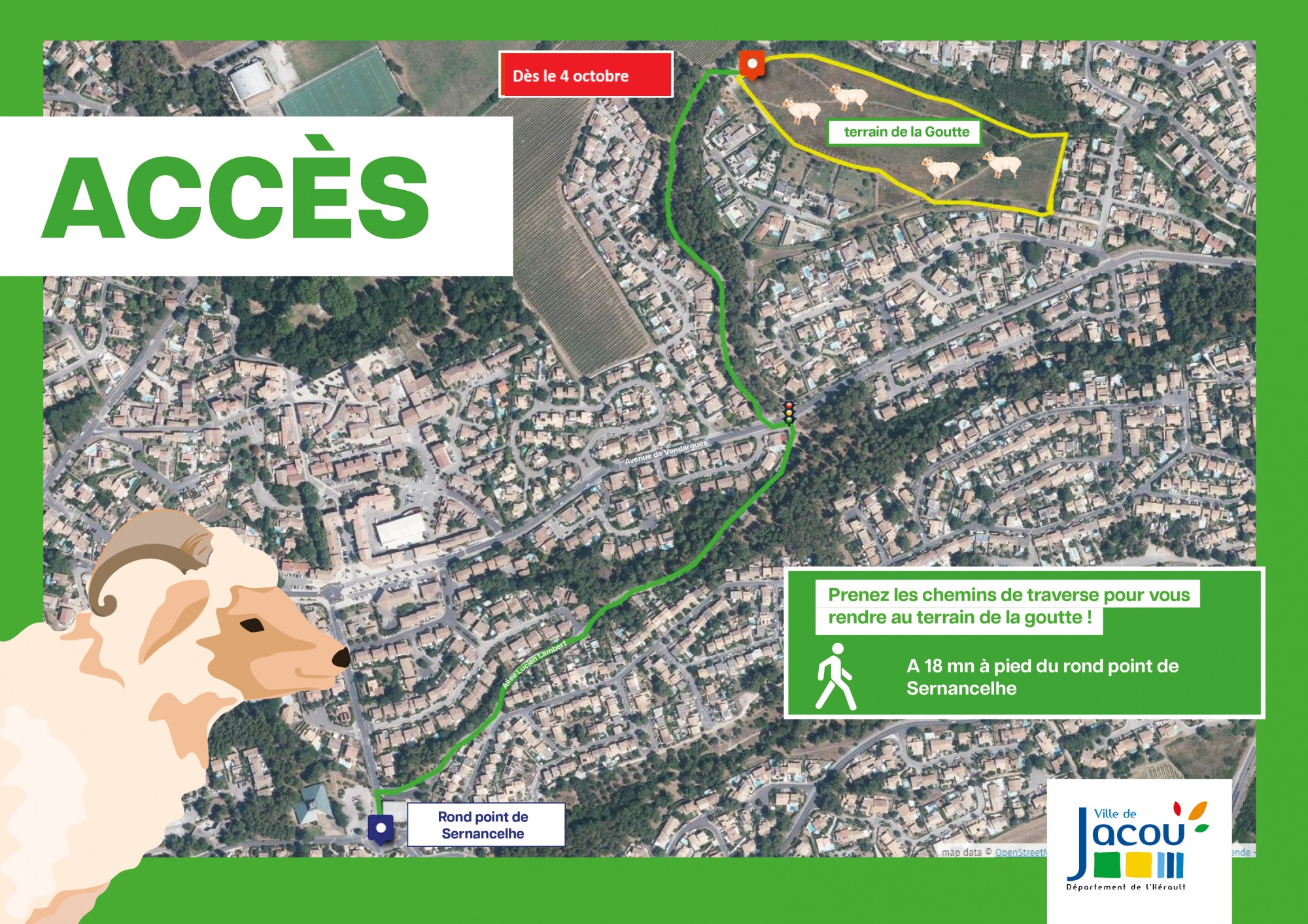 Ecopaturage : 50 agnelles à Jacou 2