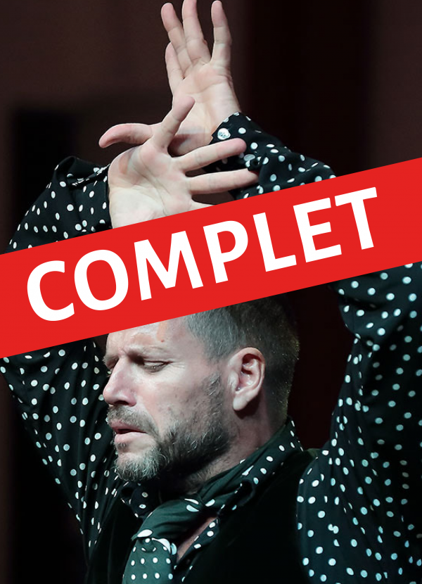 Tablao flamenco raices de Juan Polvillo