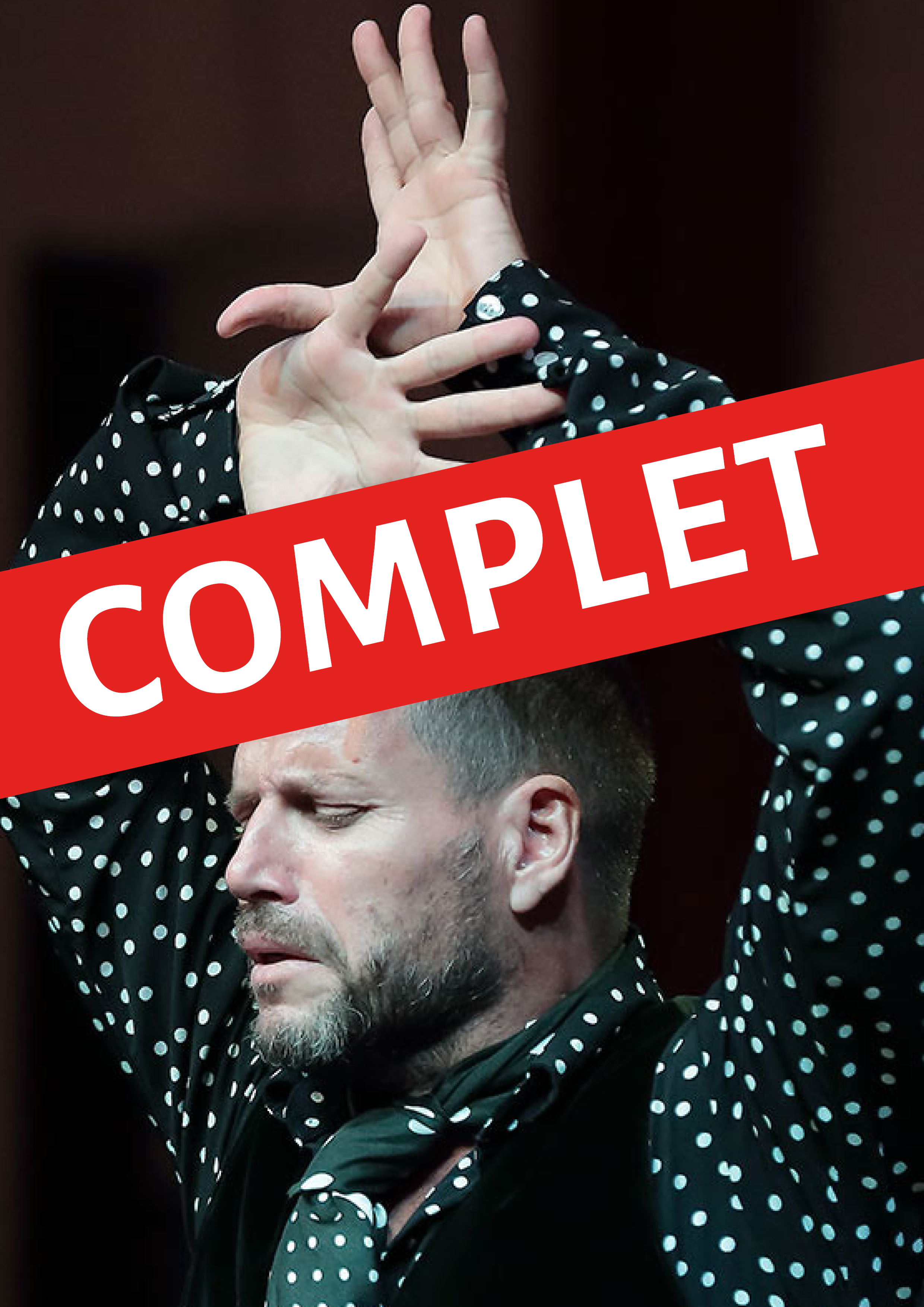 Tablao flamenco raices de Juan Polvillo