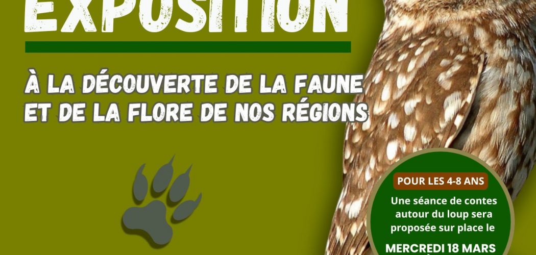 A la découverte de la faune et de la flore de nos régions
