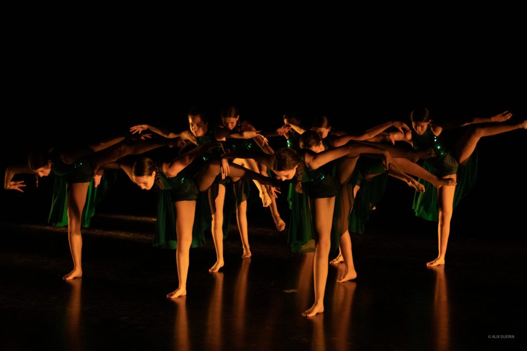 MUSIQUE DANSE THÉÂTRE - MJC en Scène