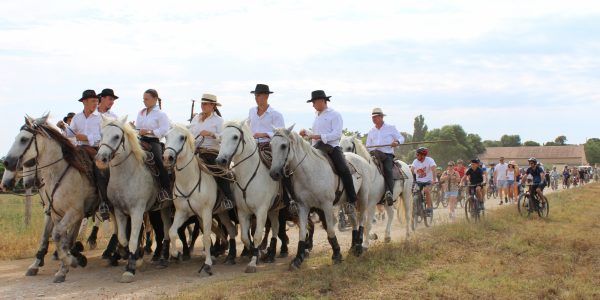 Festivités d'été 2026 5