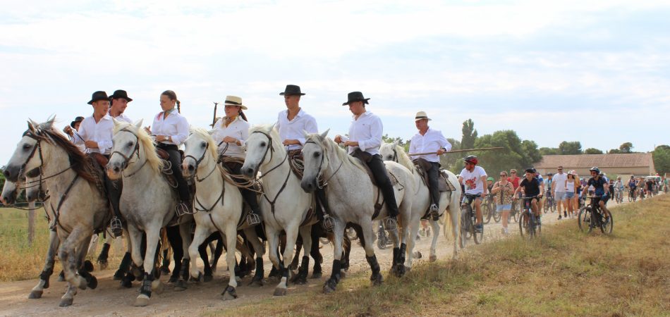 Festivités d'été 2026 5