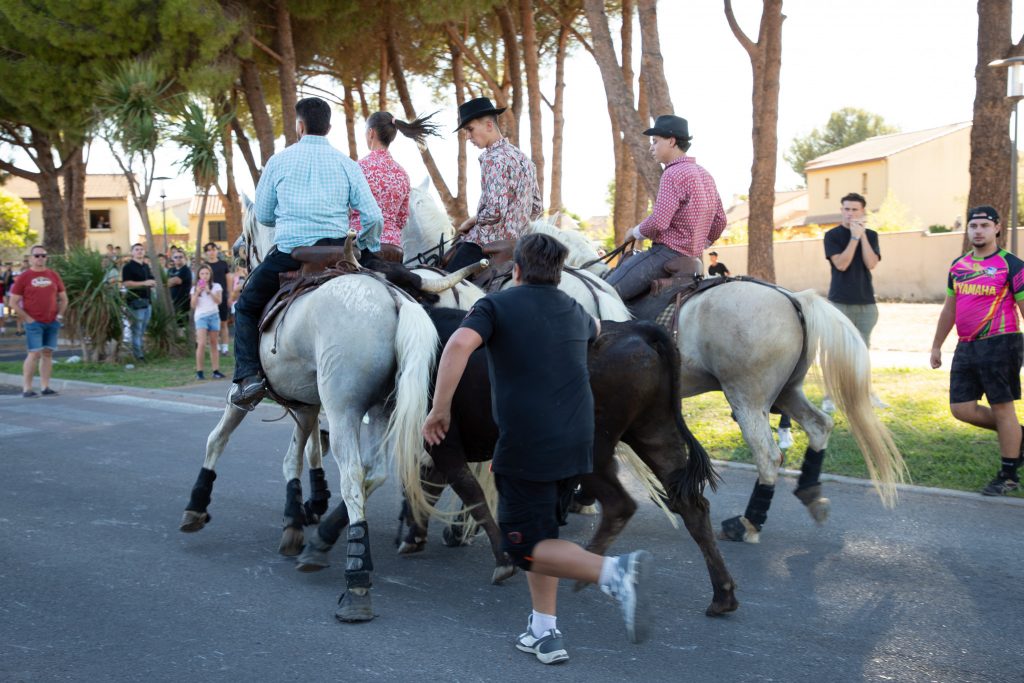 Une mobilisation exemplaire au service des Festivités 2026 1