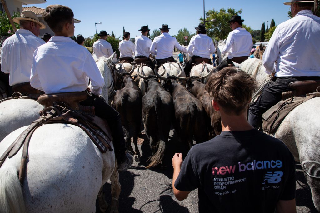 Une mobilisation exemplaire au service des Festivités 2026 19