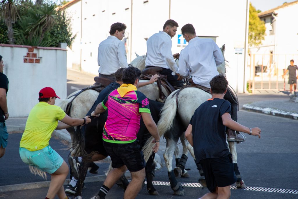 Une mobilisation exemplaire au service des Festivités 2026 28