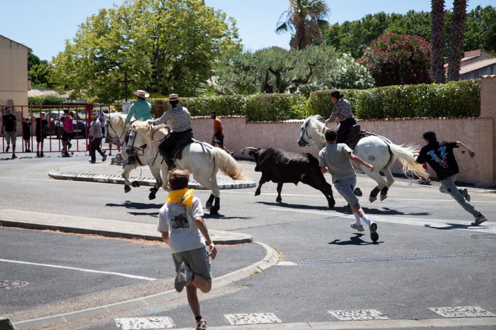 Une mobilisation exemplaire au service des Festivités 2026 30